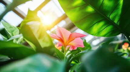 Community Garden Week Sustainability Vibrant Greenhouse Eco-Design Celebrating Spring Renewal, Green Innovation, and Wellness Landscape