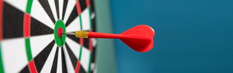 dartboard with darts, darts and target