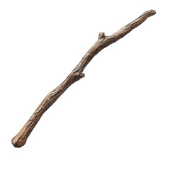 Obraz premium Small Brown Twig isolated on transparent background