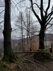 Popradzki Park Krajobrazowy