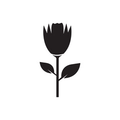 beautiful black rose flower design