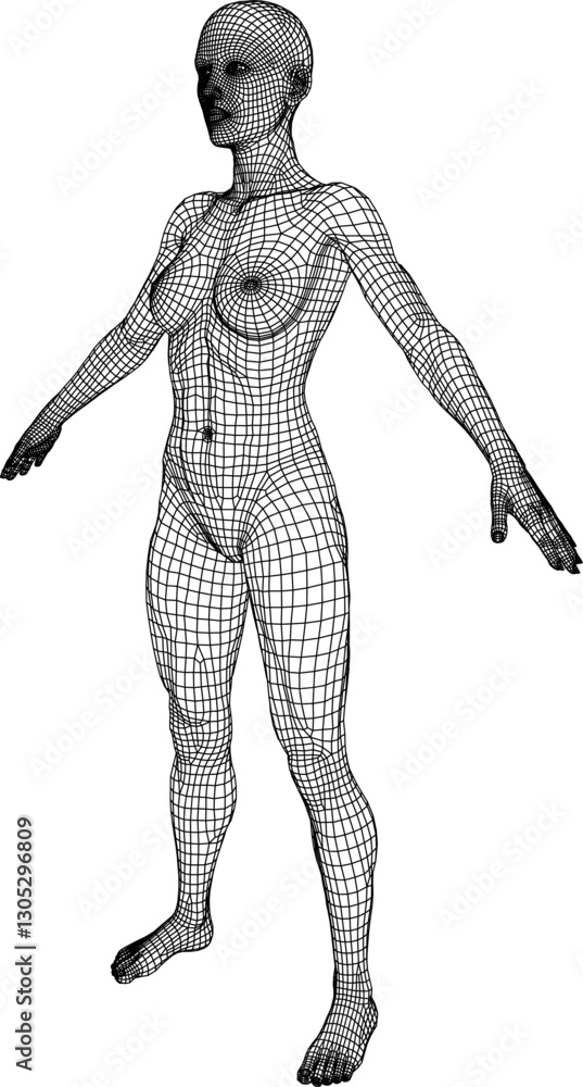 Poster 3d wireframe model of a standing human figure with outstretched arms showcasing intricate grid patte