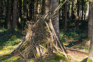 aufgeschüttete Äste und Zweige im Wald