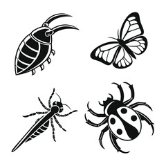 Insect Life Cycle Icons