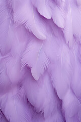 Fototapeta premium Soft purple feather texture creates delicate and elegant appearance