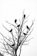 Black and white double exposure of birds in tree branches, minimalist, surreal painting