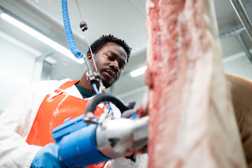 Experienced butcher using electric saw and cutting pork meat in food factory.