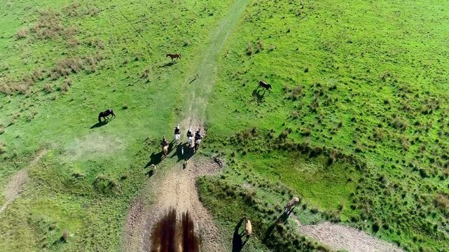 Imagen de dron de gauchos argentinos arriando ganado en un campo de Corrientes, Argentina