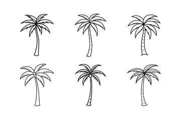 Fototapeta premium Set of a drawing of a palm tree vector.