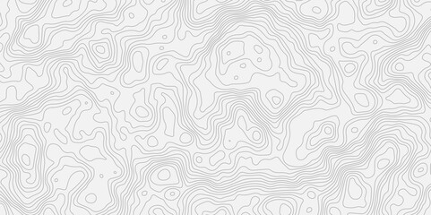 banner texture white template curve concept style.Abstract seamless paper cut world map design geometric background modern template. 