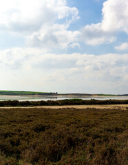 Rural area of Cyprus and Larnaka Lake in a background.