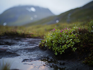 plant life prospering from geothermal ground heat