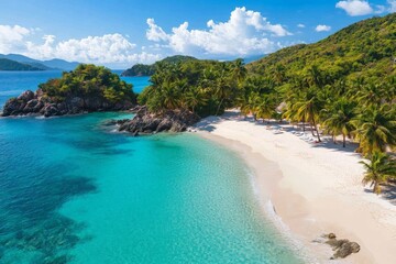 Fototapeta premium Serene tropical beach with clear waters and palm trees during a sunny day on a remote island