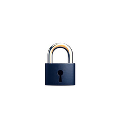 Fototapeta premium 3d padlock logo