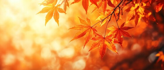 Autumn's fiery charm expressed through vibrant red leaves against a glowing backdrop, evoking warmth and the poetic beauty of the season.