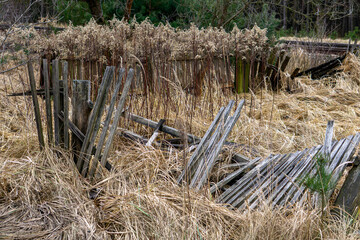 Fototapeta premium collapsing old wooden fence. ruined wooden fence at abandoned house.