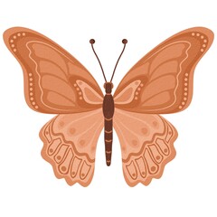 brown, beige, pastel butterfly on white background. Illustration of a butterfly with symmetrical wings in shades of light to dark orange.