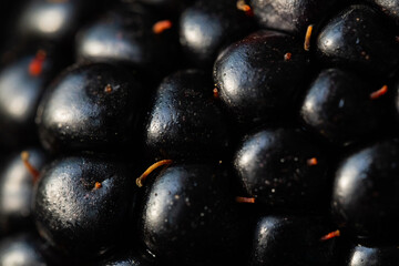 Extreme macro of a fresh blackberry with intricate texture and tiny droplets of moisture