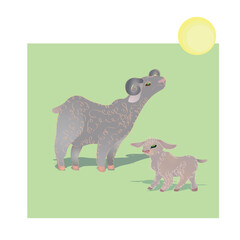 Vector illustration with a family of fluffy sheep and lambs on a lawn.