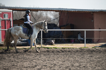 Young jockey riding white horse in paddock near stables
