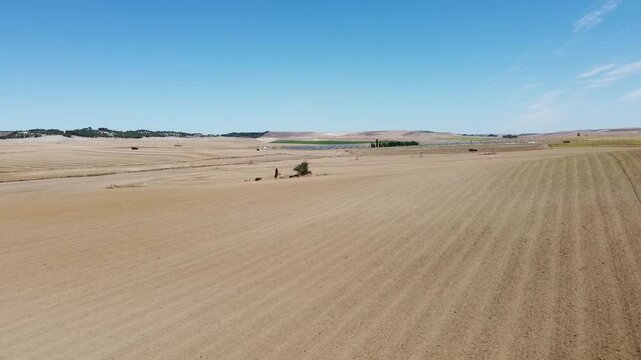 Low-altitude aerial drone view from right to left over the vast cereal plain - 520
