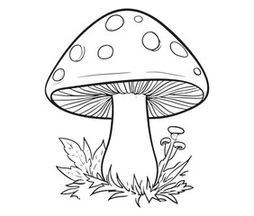 Cartoon mushrooms on a white background. Hand-drawn mushroom illustration, nature-inspired art