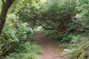 Die Insel Jusit in der Nordsee