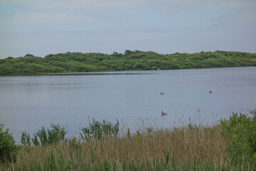 Die Insel Jusit in der Nordsee
