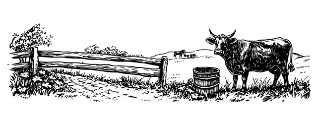 Obraz premium Cow grazing near wooden fence and barrel in a tranquil countryside setting illustrated in vector style