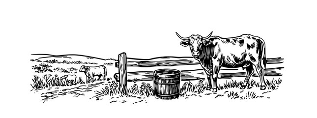 Obraz premium Engraved illustration of cows near a barrel in a rural landscape with rolling hills and serene waters in the background