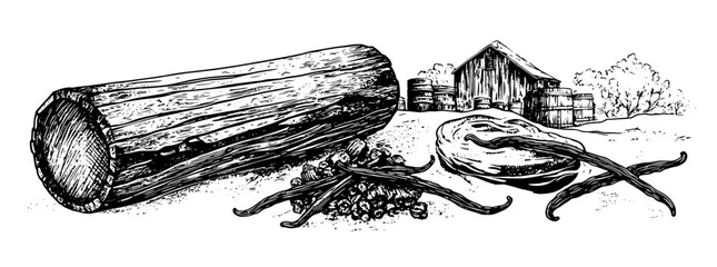 Obraz premium Engraved illustration of vanilla pods and a wooden log with a rustic barn and barrels in the background