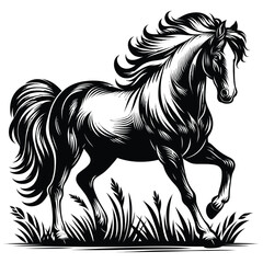 horse vector illustration