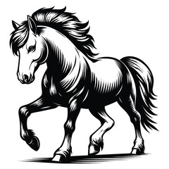 horse vector illustration