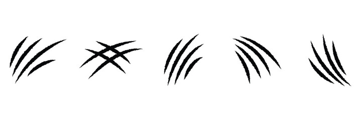 Claws scratches icon isolated on white background. Claw sign vector Illustration. EPS 10