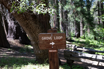 Trail sign marking the entrance to the Tuolumne Grove Loop trail in Yosemite National Park, California