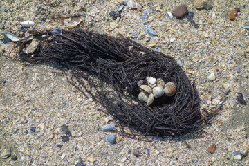 Die insel Baltrum in der Nordsee
