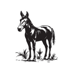 Black and White Mule Illustration High Resolution Monochrome Vector Clip Art
