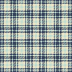 Indian texture pattern tartan, package plaid vector seamless. Swatch background fabric textile check in light and blue colors.