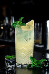 Fresh cool detox water drink with lemon. Lemonade with mint. proper nutrition and healthy eating. Fitness diet.