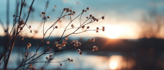 Sunlit wildflowers sway gently by a peaceful lake at dusk, echoing tranquility and the soft farewell of day.