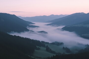Fototapeta premium Beautiful, misty valley with forests and mountains at dawn in the Alps, a natural landscape