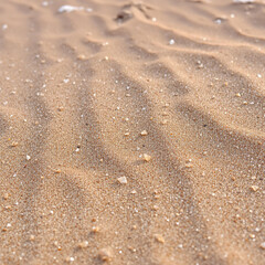 Sand Dunes