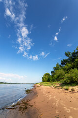 The shore of the river on a sunny summer day. Vertical view.