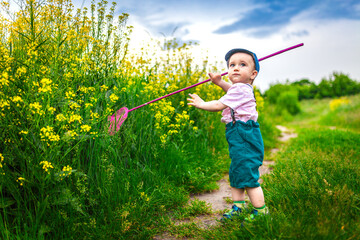 Boy catch butterflies with a net
