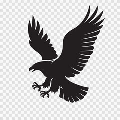 Obraz premium Dynamic Eagle Attack Pose – Fierce Winged Creature