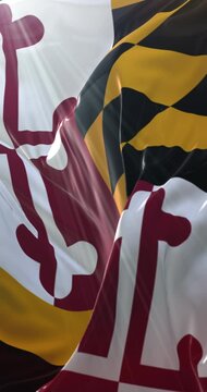 Flag of american state of Maryland, United States. Loop. 4K Vertical
