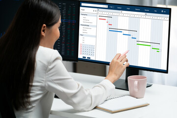 Project planning software for brisk business project management on the computer screen showing...