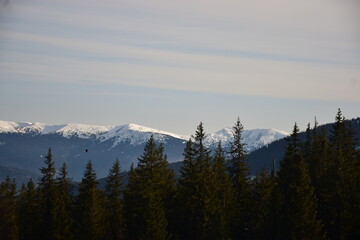 snow covered mountains