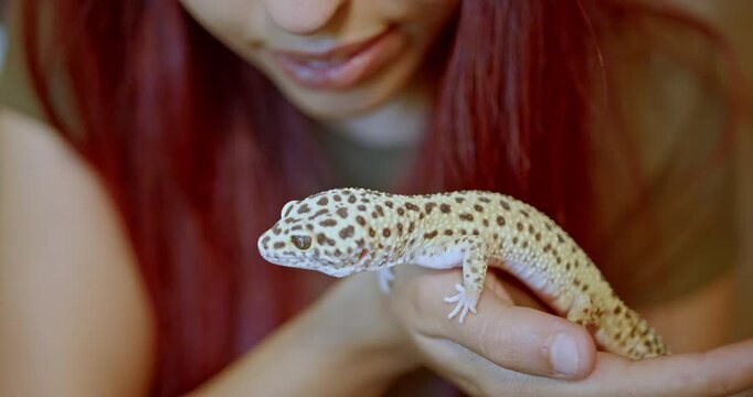 A young woman with red hair gently interacts with her pet leopard gecko lizard.