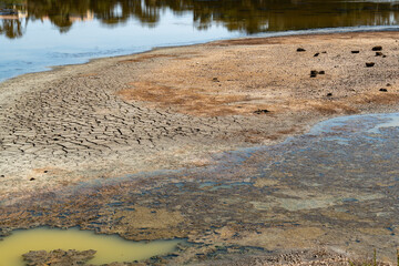 Verlandender Etang